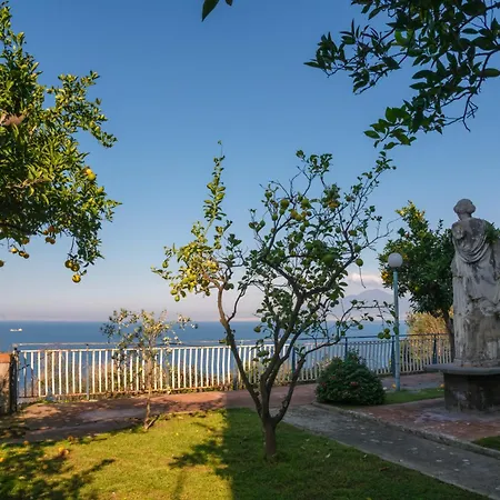 Lemon Soul Center * Sorrente